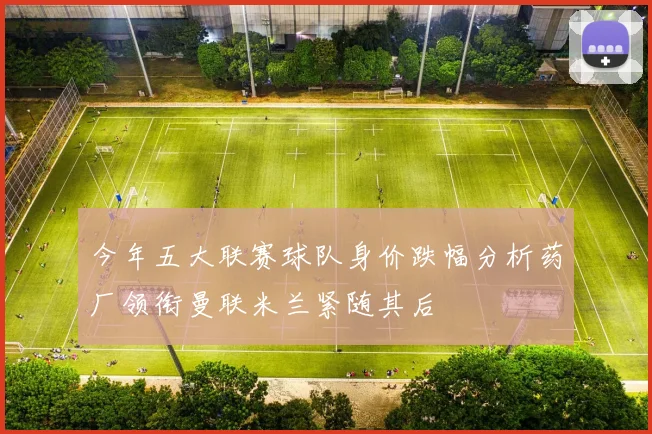 今年五大联赛球队身价跌幅分析药厂领衔曼联米兰紧随其后